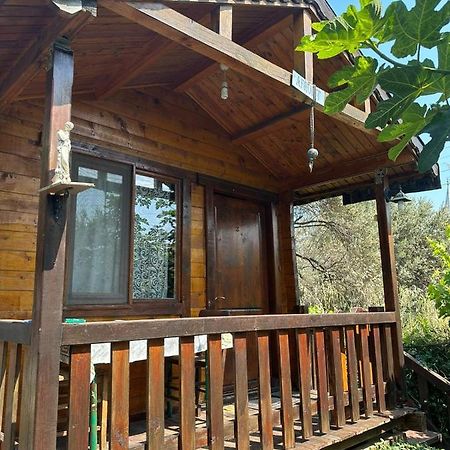 Апарт отель Olimpos Bungalov Apart Balikliova Экстерьер фото